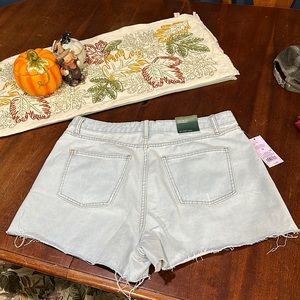 Light denim shorts from target. Wild fable brand